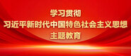 大鸡鸡干小骚逼学习贯彻习近平新时代中国特色社会主义思想主题教育_fororder_ad-371X160(2)